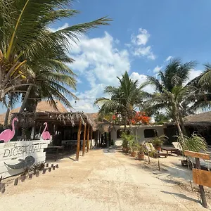 La Diosa Kali Front Isla Holbox